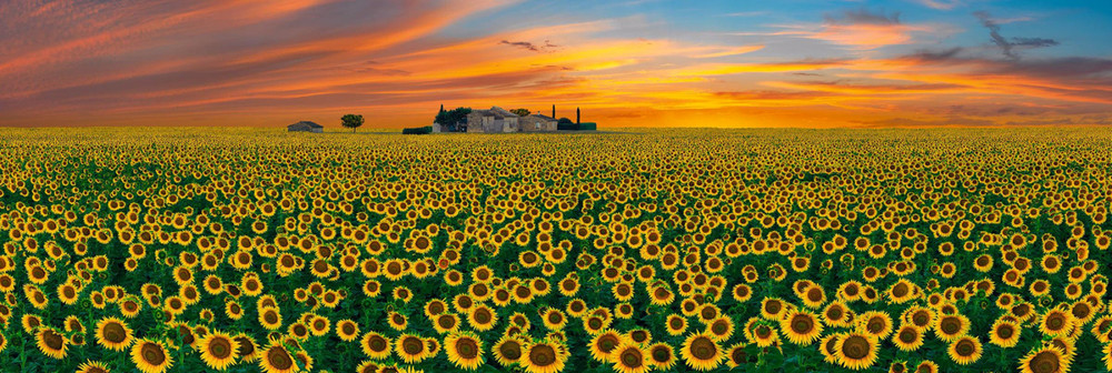 Peter Lik 
