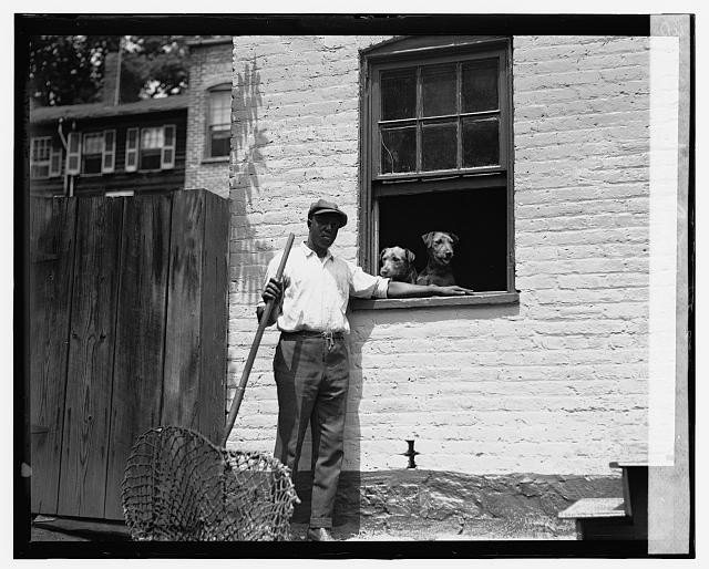 Photo:Dog catcher,Animal control service,Animal Control Officer,1924