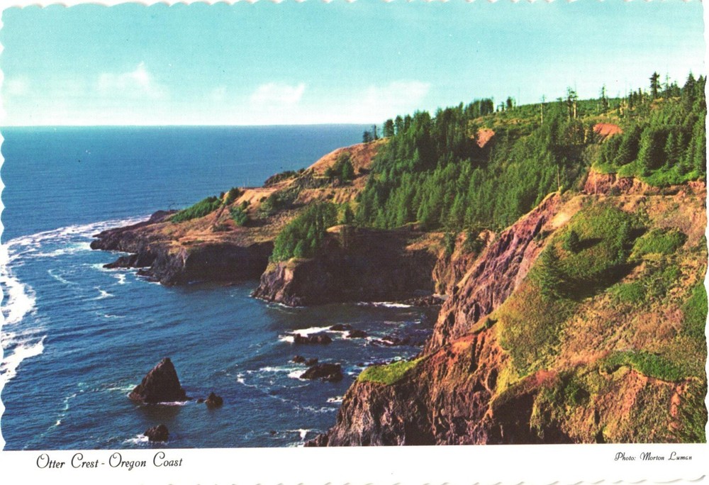 Oregon Scenic Oregon Coast From Famous Otter Crest Vintage Postcard