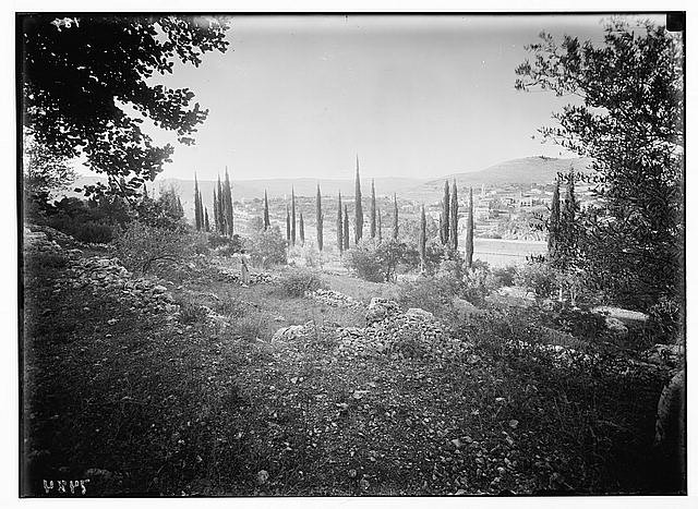 Ain Karim,Jerusalem,Israel,Middle East,American Colony Jerusalem Photo Dept
