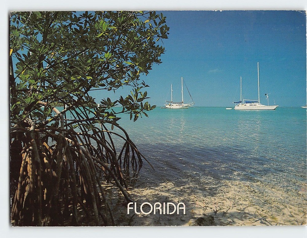 Postcard Boats on the Beach in Florida USA