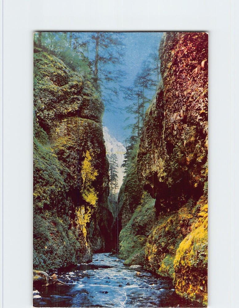 Postcard Oneonta Gorge Columbia River Highway Oregon USA