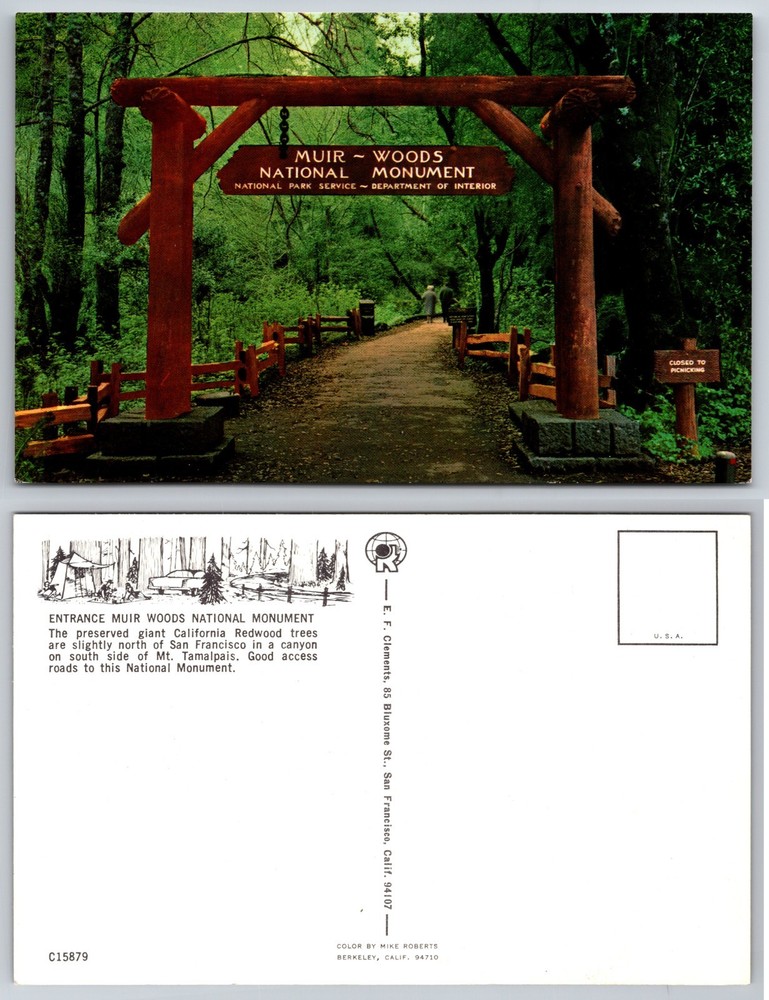 Muir Woods National Monument Entrance Postcard