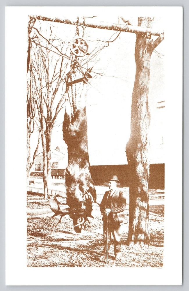 Vintage Bear Hunting Trophy Postcard - Hunter with Large Bear Sepia Photo