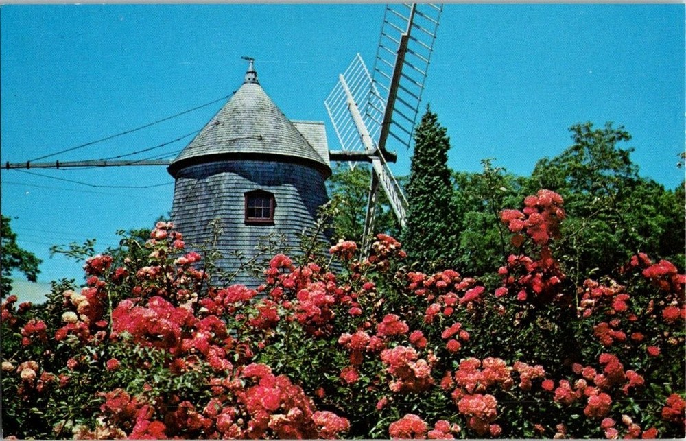 Historic Windmill Eastham Cape Cod Massachusetts Vintage Postcard