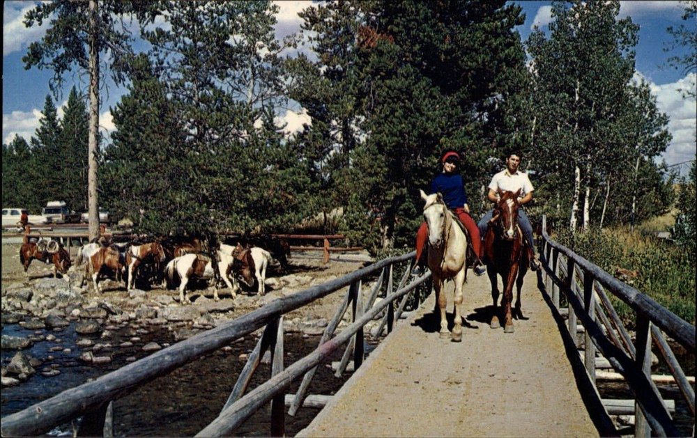 Horseback Riding bridge ~ Grand Teton National Park Wyoming ~ horses ~ postcard