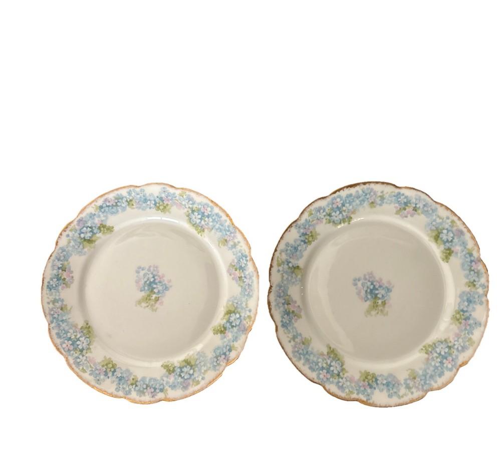 Limoges France Set of 2 Dessert Plates Blue Floral Gold Trim 6”