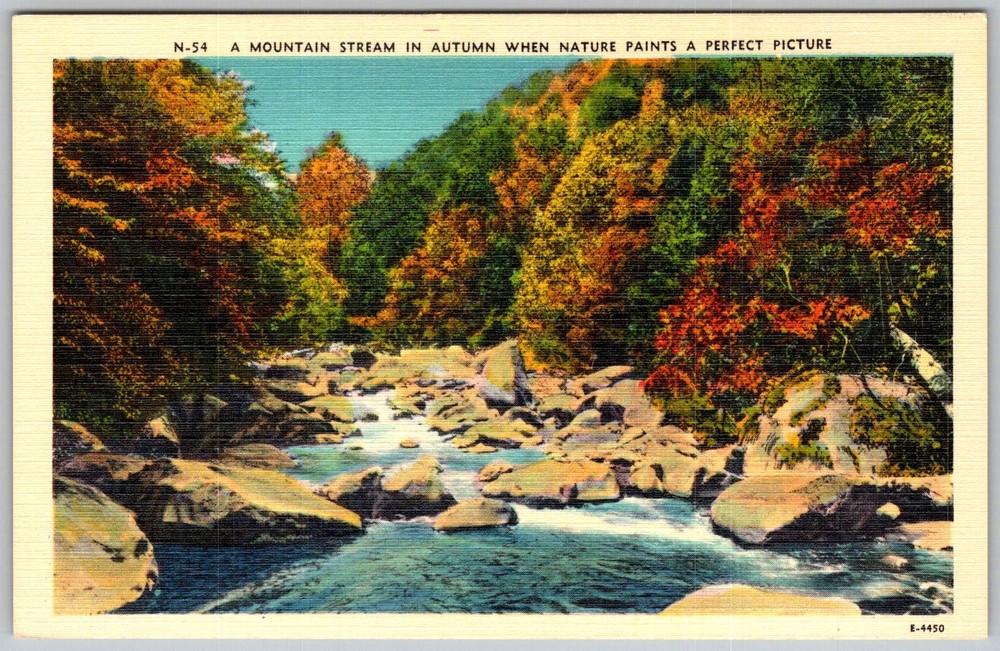 Vtg Linen Postcard Mountain Stream Autumn Asheville, NC 1930s