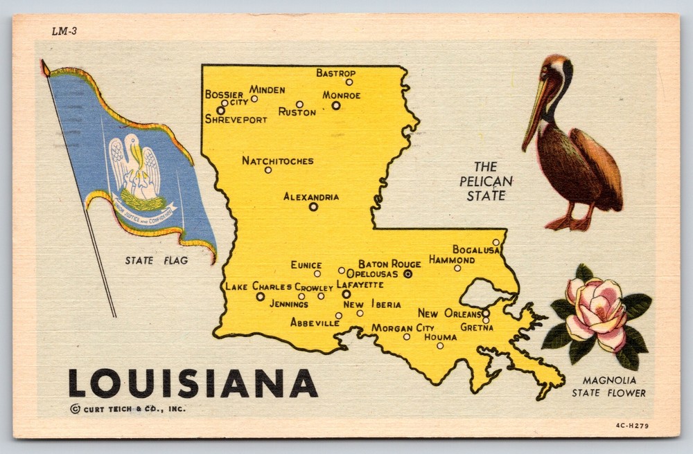Maps~State Flag Bird & Flower & Map of Louisiana~Vintage Postcard