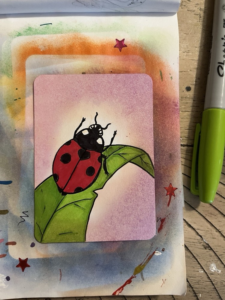 ACEO Lady Bug On A Leaf Sharpie Art Card In Sleeve
