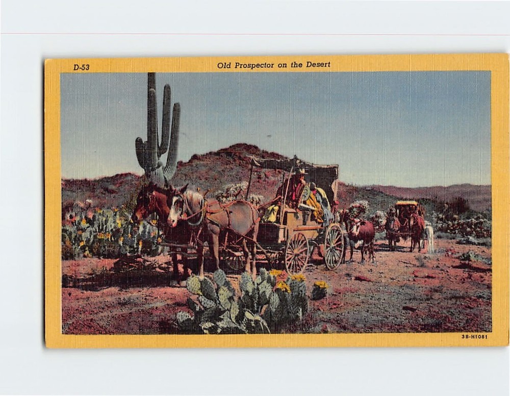 Postcard Old Prospector on the Desert