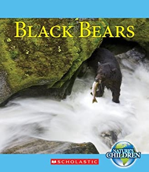 Black Bears Paperback Timothy M. DalyFree US Delivery | ISBN:0531254763