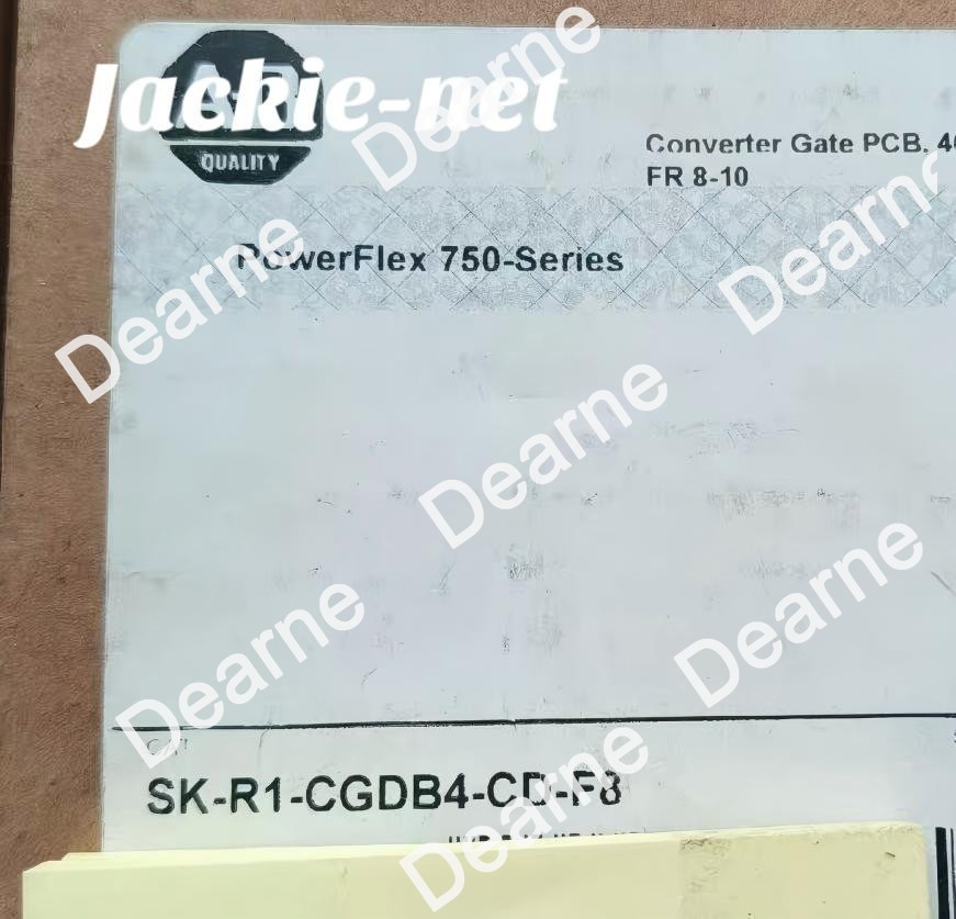 1PCS NEW SK-R1-CGDB4-CD-F8 VIA DHL/FedEx &&
