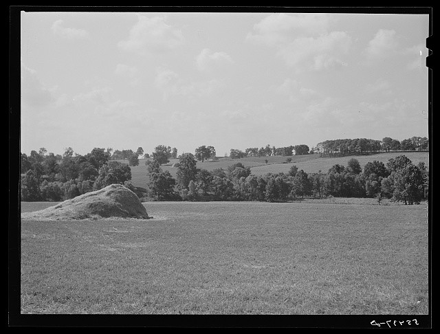Photo:Oldham County Kentucky 1940 Farm Scene Rural Landscape