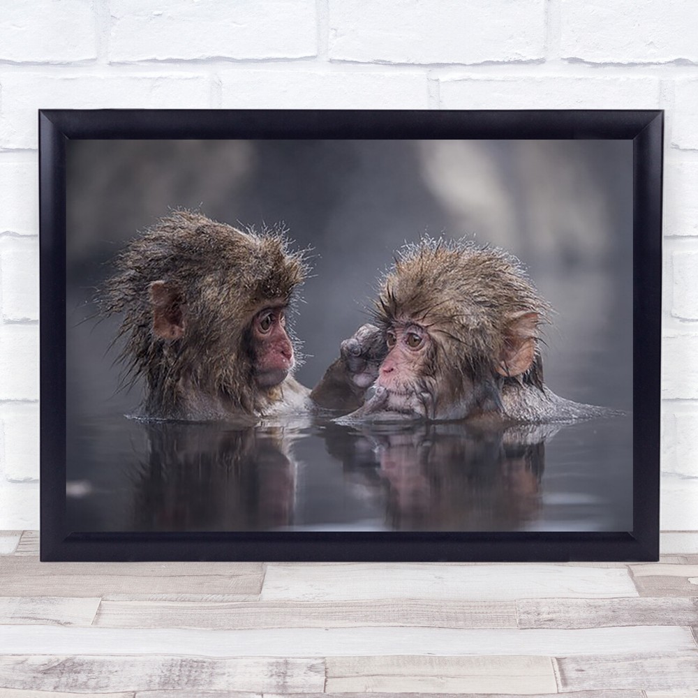 Friends Nature Animal Wildlife Monkey Ape Couple Friend Friendship Art Print