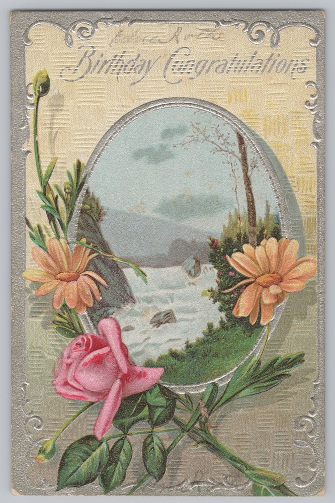 Greetings~Birthday~River Rapids~Daisies~Pink Rose~Vintage Postcard