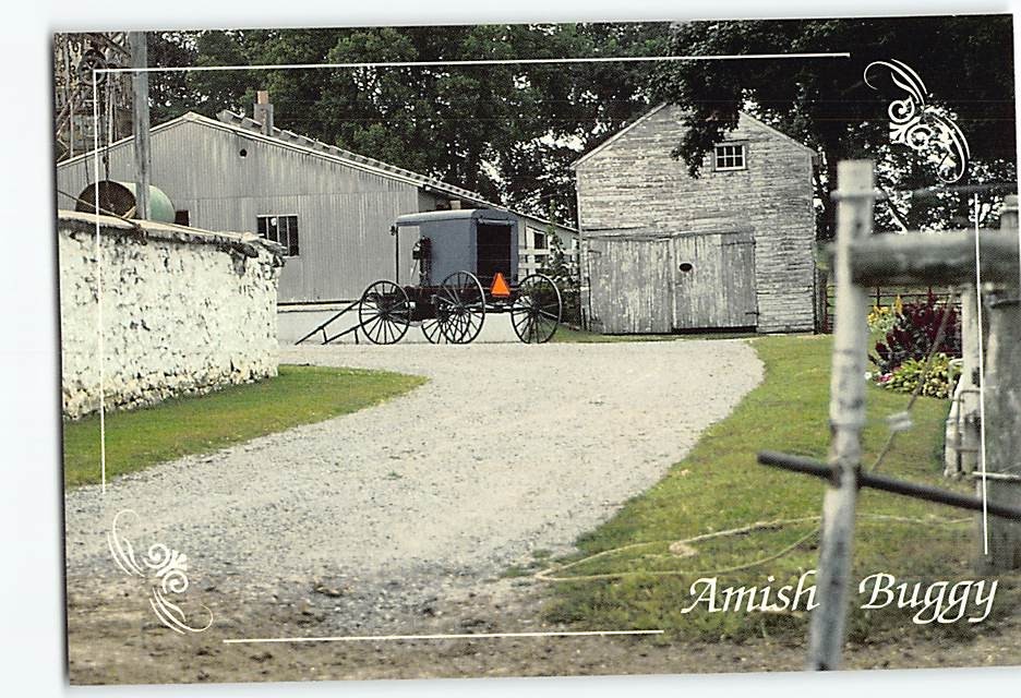 Postcard Amish Buggy