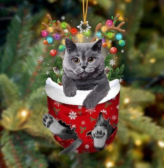 Funny British Grey Cat In Snow Pocket Christmas Ornament Flat Acrylic Cat