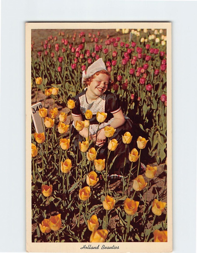 Postcard 