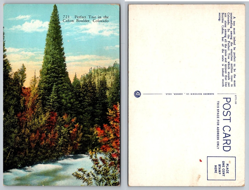 Vintage Linen Postcard: Perfect Tree Boulder Cañon Colorado Sanborn Souvenir