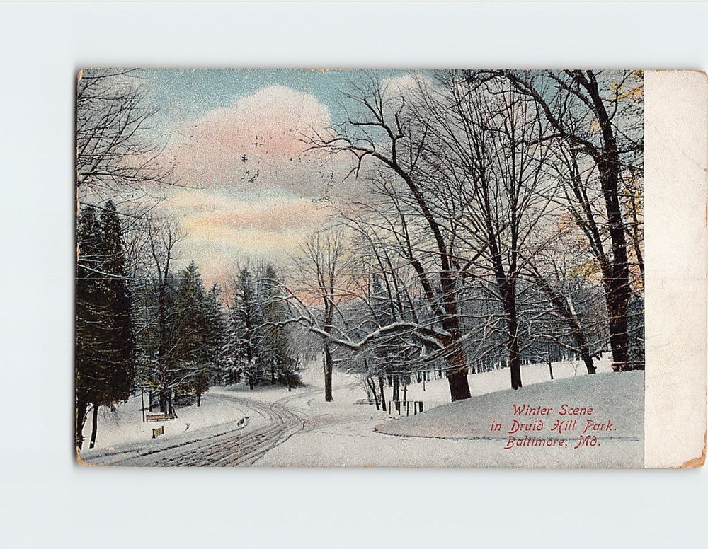 Postcard Winter Scene in Druid Hill Park Baltimore Maryland USA