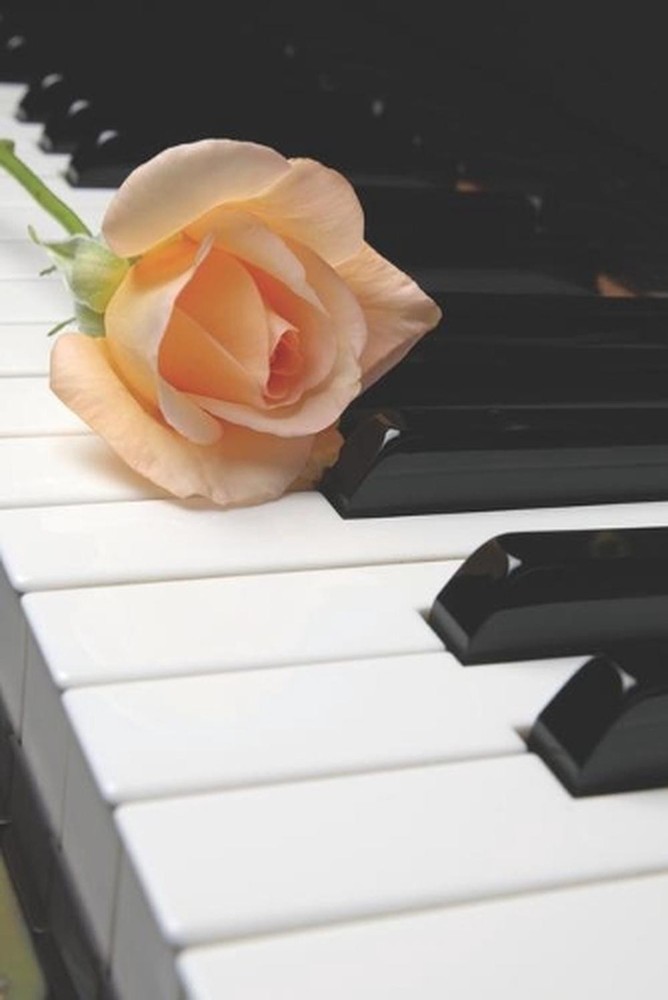 El Pianista by Victoria Roch (Spanish) Paperback Book