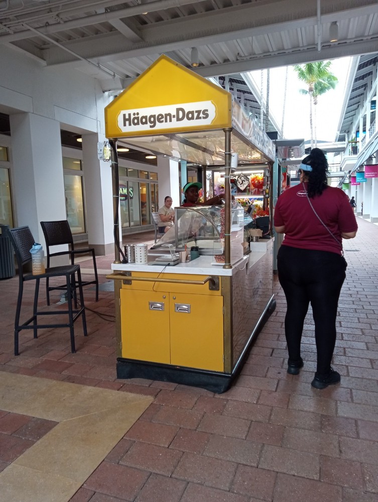 Stunning Landscape Photography Tips and Techniques