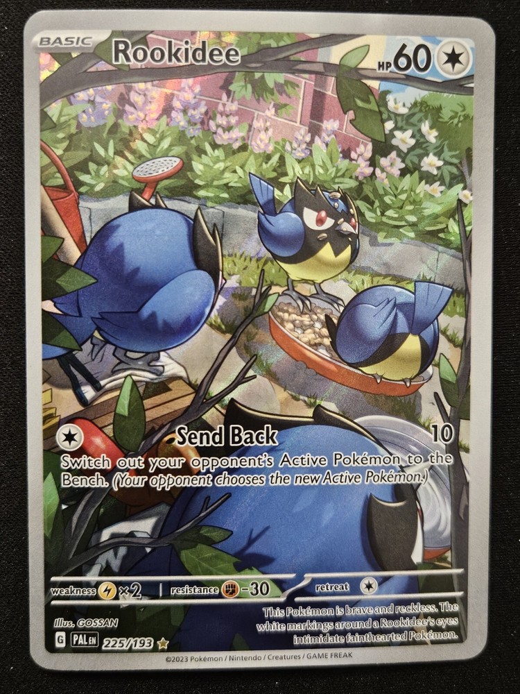Rookidee 225/193 Paldean Fates Full Art Illustration Rare Holo Pokémon 2023 NM