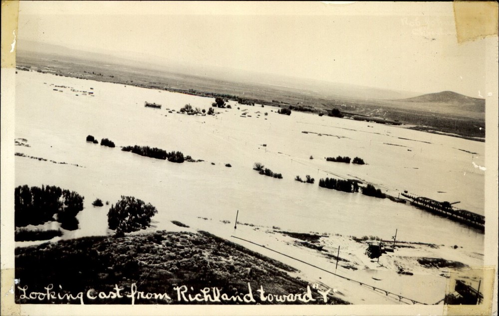 RPPC East from Richland Washington 1948 flood toward Yakima River~ photo card