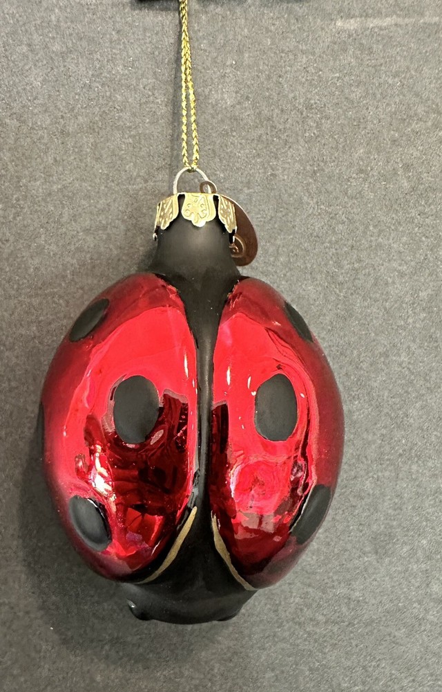 Christmas Ornament Glass Ladybug Seasons Of Cannon Falls