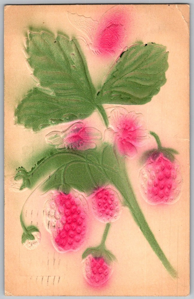 Antique Postcard Embossed Pink Raspberries Pulaski, Iowa 1910s