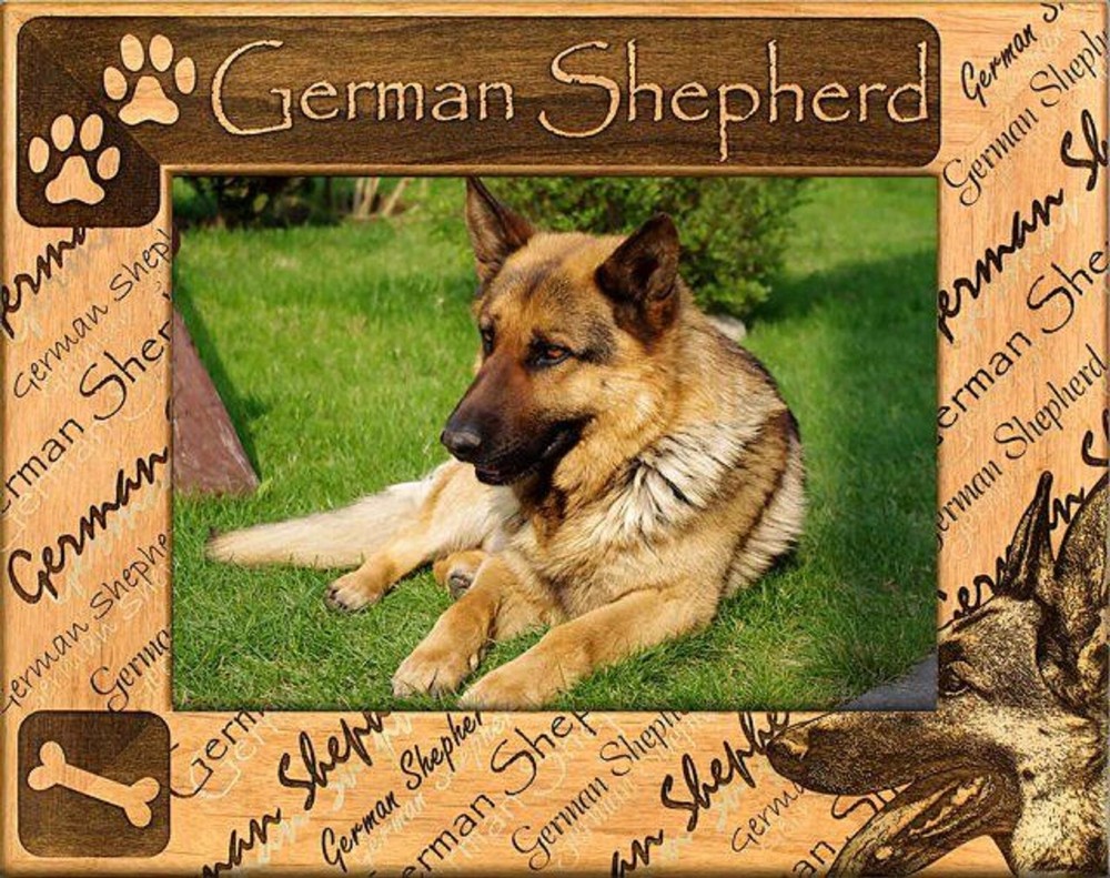 German Shepherd Laser Engraved Wood Picture Frame (4 x 6)