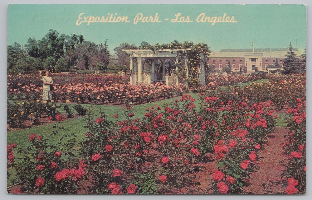 State View~Exposition Park & Rose Garden Los Angeles California~Vintage Postcard
