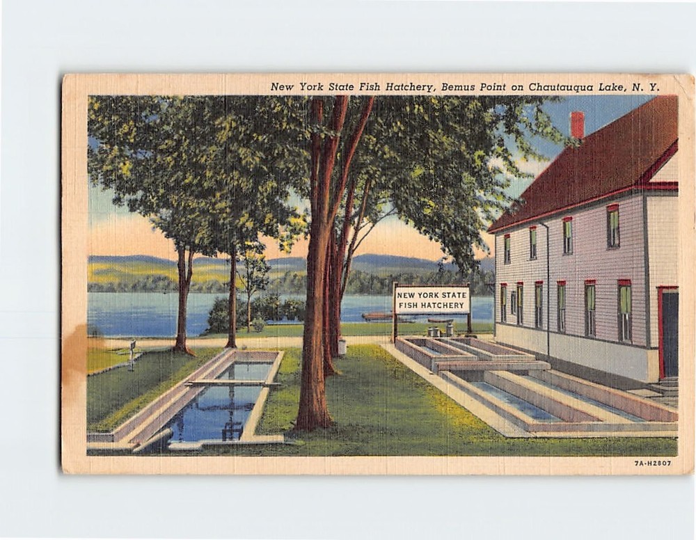 Postcard NY State Fish Hatchery Bemus Point On Chautauqua Lake USA