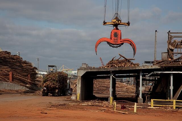 Claiborne Alabama 2010 Alabama River Pulp Company Mill Complex Log Yard