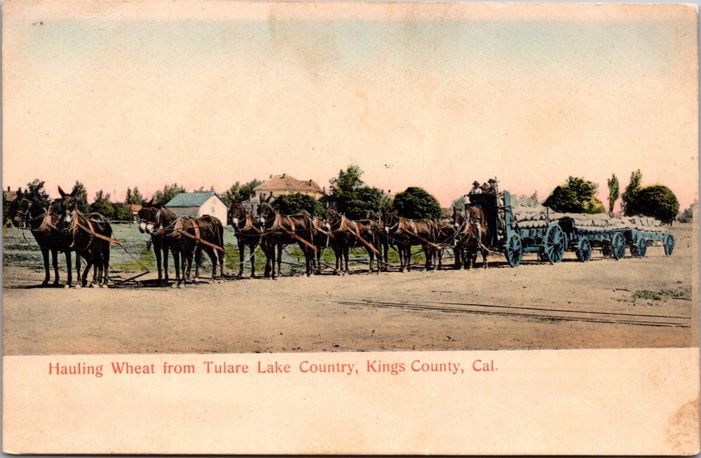 Hand Colored PC Hauling Wheat from Tulare Lake Country, Kings County California