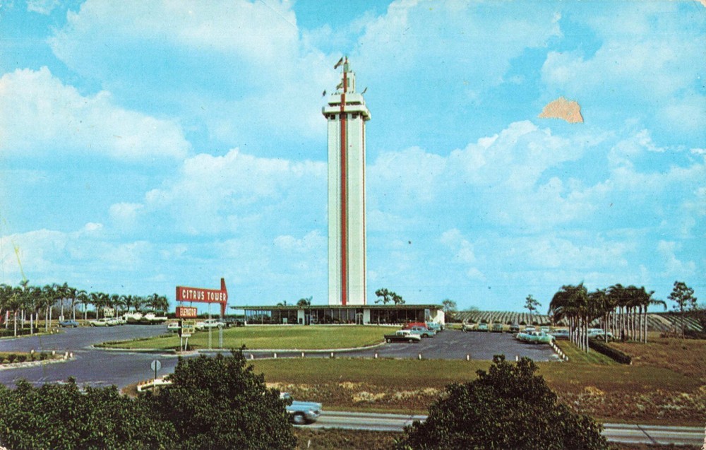 Clermont Florida, Citrus Observation Tower, Vintage Postcard