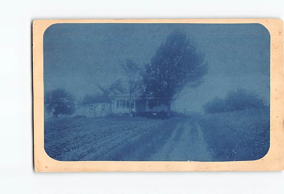 Postcard House Road Trees Landscape Scenery