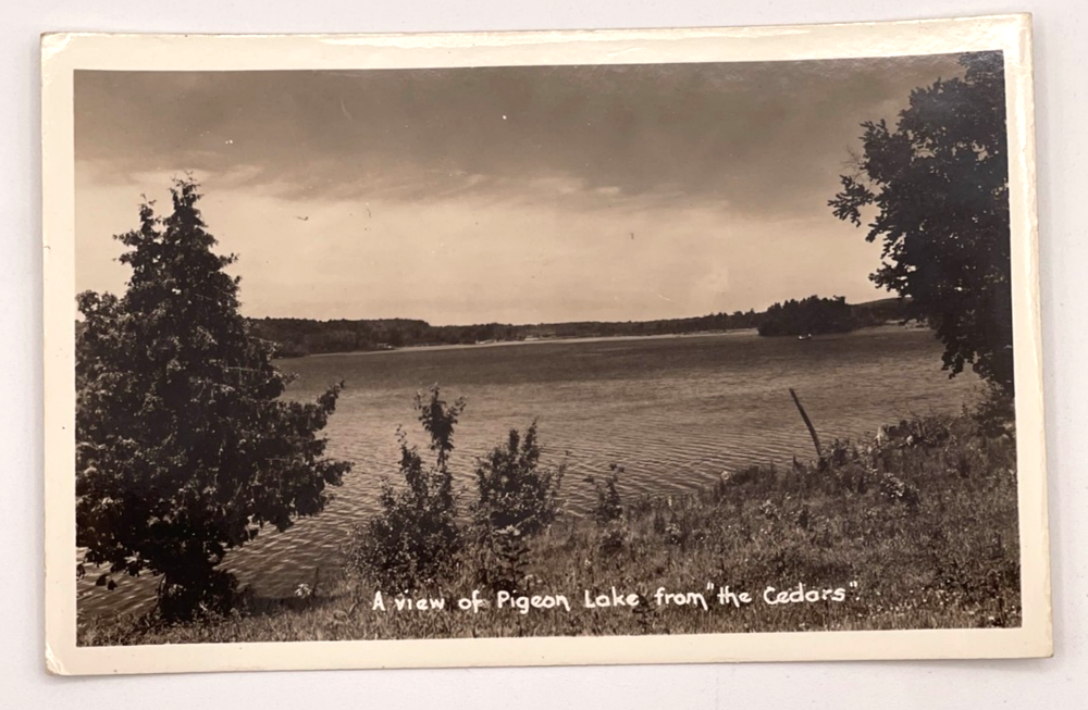 Pigeon Lake Canada RPPC Postcard View from the Cedars Real Photo c1946