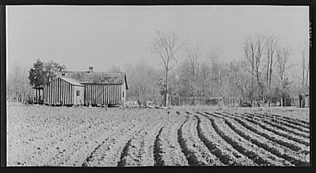 Erosion near Jackson,Mississippi,MS,Farm Security Administration,1936,FSA,6