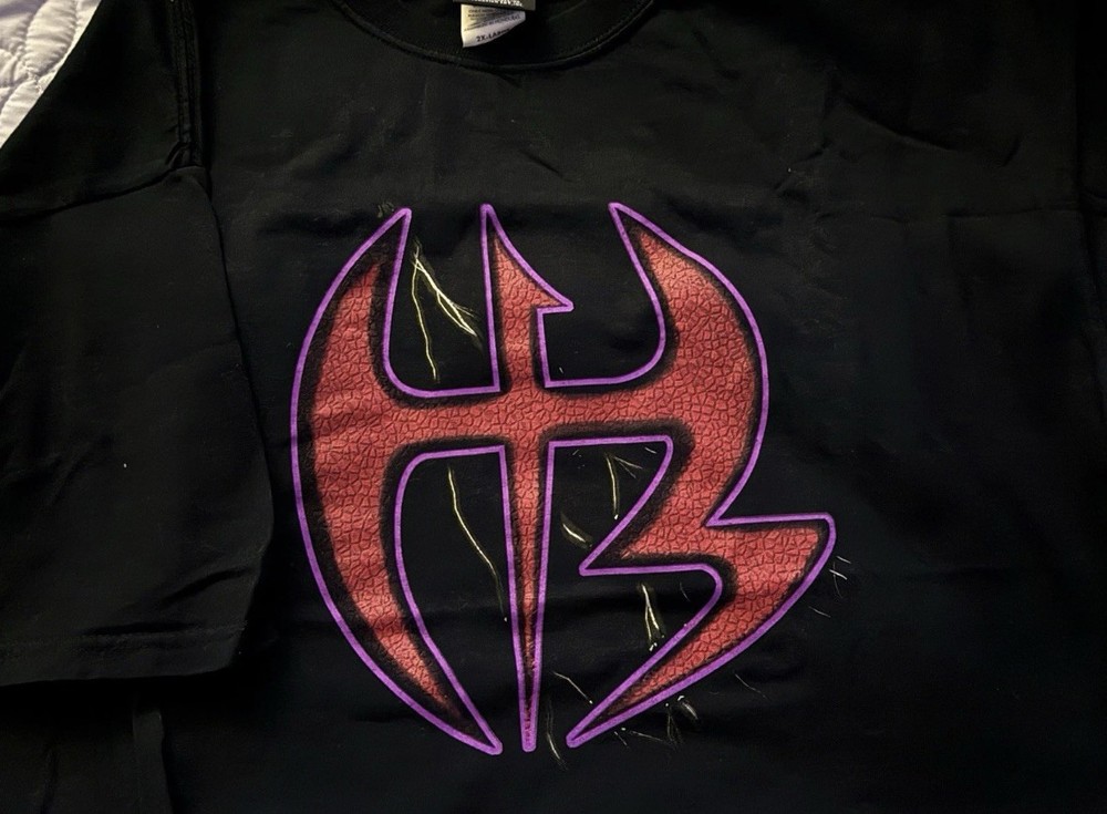 Vintage WWF 2000 Hardy Boyz Matt Jeff Hardy Team Xtreme T-Shirt Size 2XL