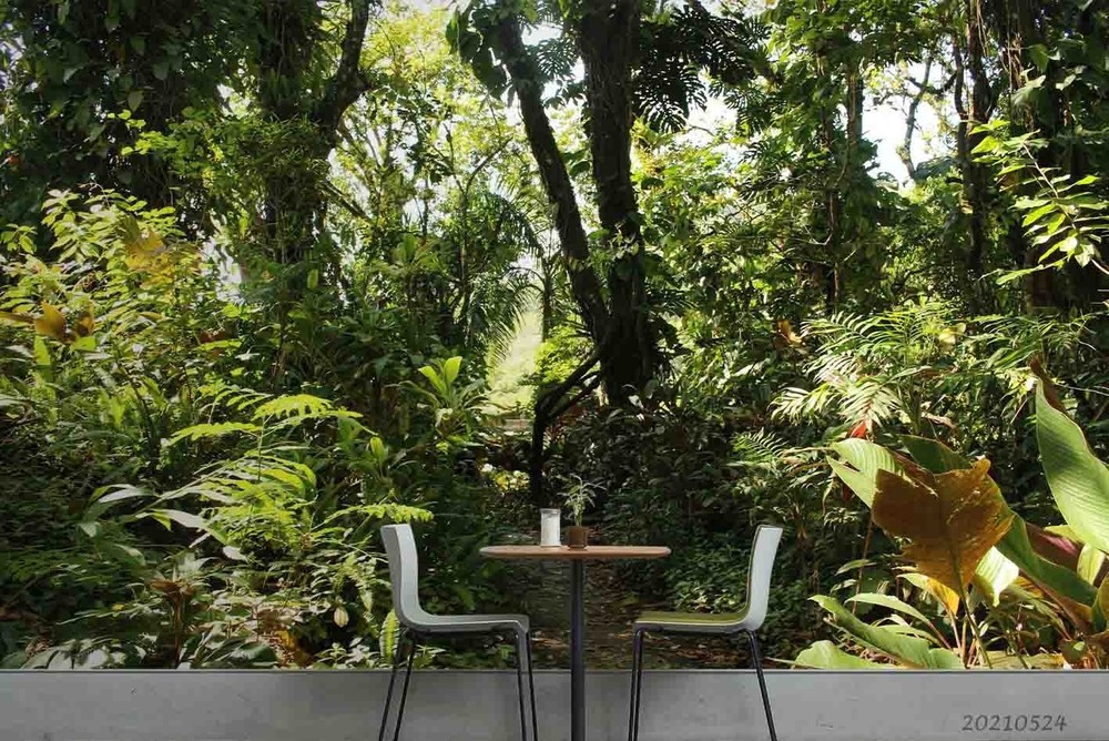 3D Forest Sunshine Landscape Wall Murals Wallpaper Murals Wall Sticker