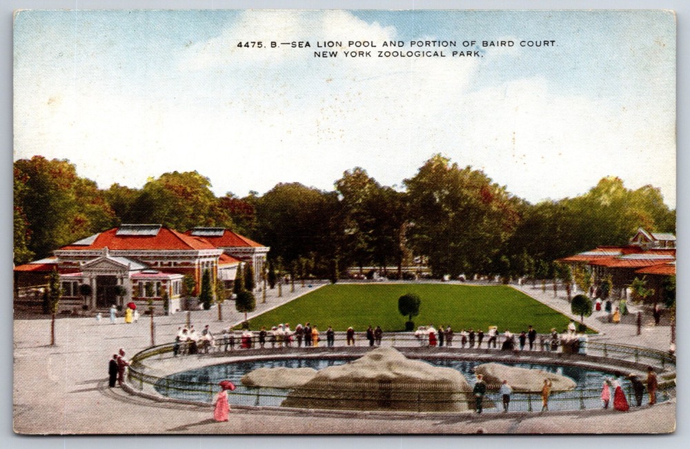 New York City~Sea Lion Pool & Baird Court @ Zoological Park~Vintage Postcard