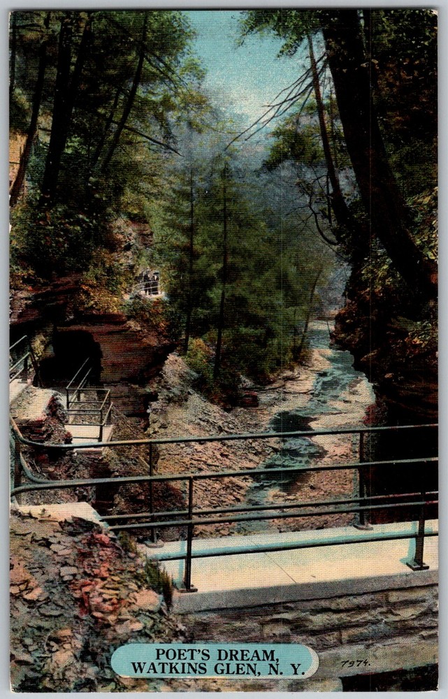 Antique Postcard Poet's Dream Gorge Watkins Glen, NY 1910s