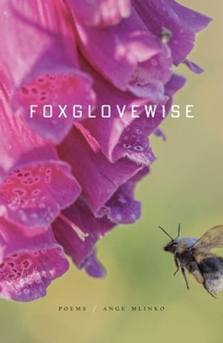 Foxglovewise: Poems by Ange Mlinko: New