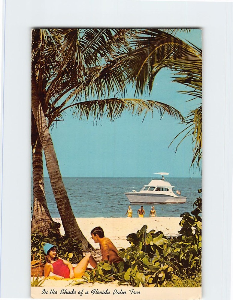 Postcard In the Shade of a Florida Palm Tree USA North America