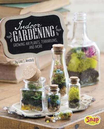 Indoor Gardening: Growing Air Plants, Terrariums, and More by Lisa J Amstutz