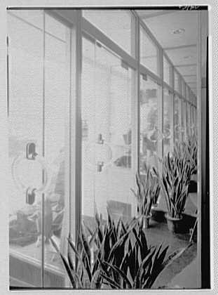 Photo:Bain Brothers, business at 183 8th Ave., New York City. Interior V