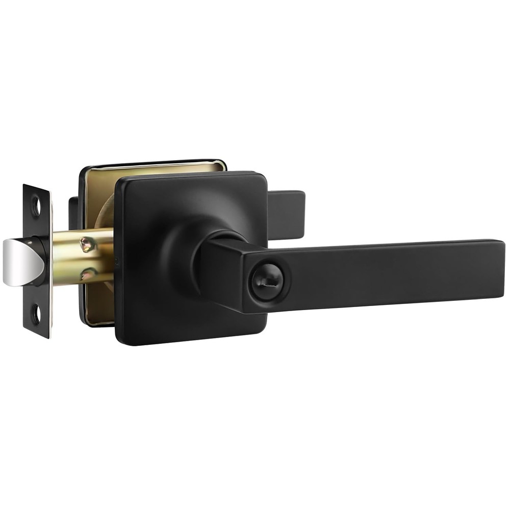 Matte Black Door Handles 1 Pack, Privacy Door Handles Interior, Bedroom Door ...