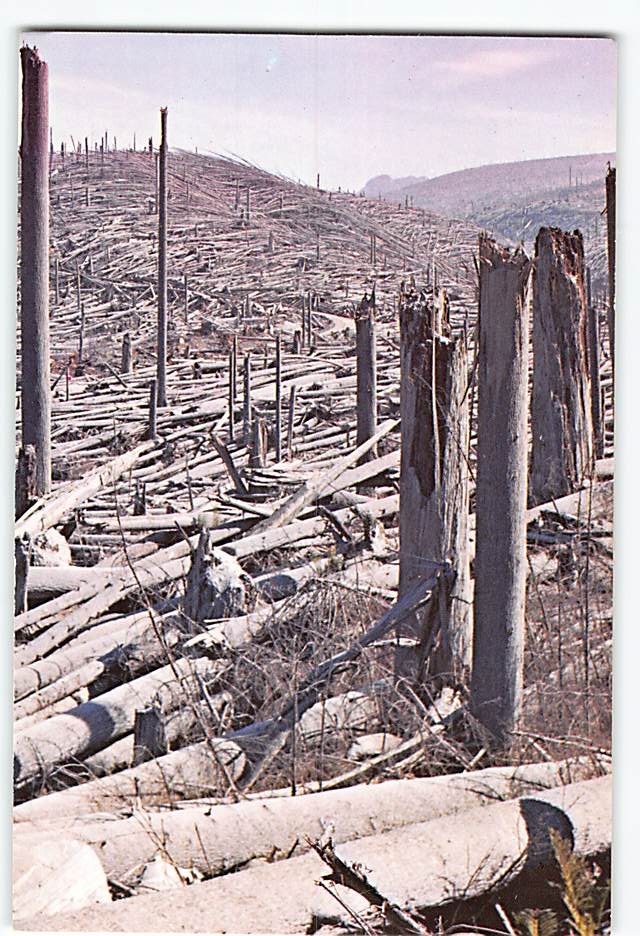 Postcard Eruption of Mt. St. Helens Aftermath Washington USA